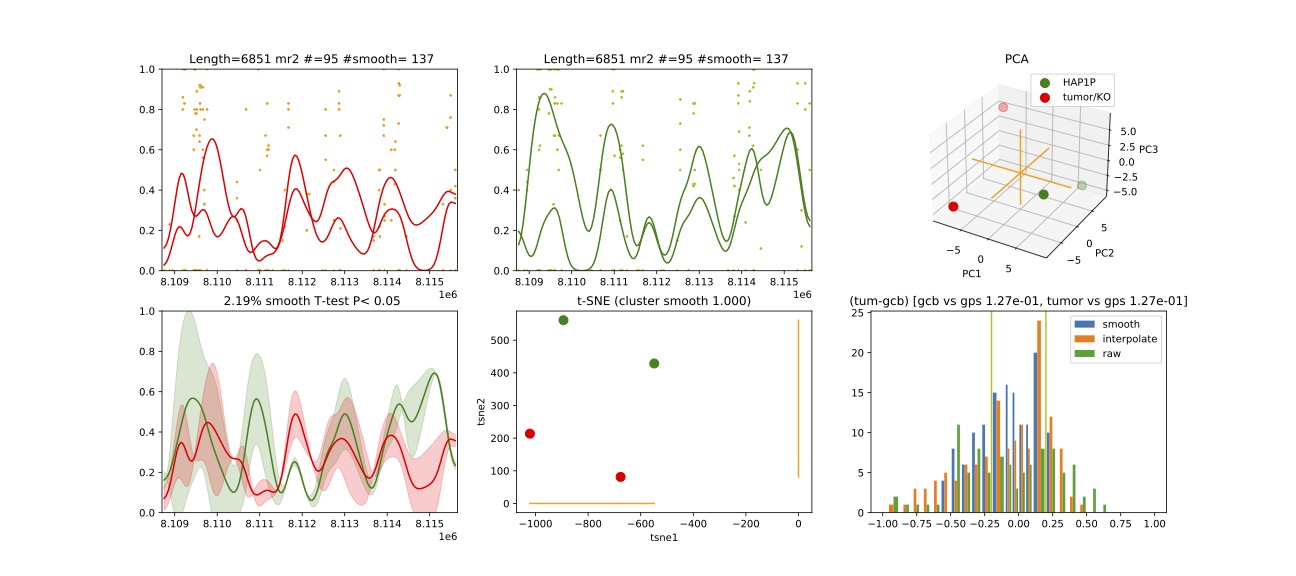 Chr3 Methylation Region 2