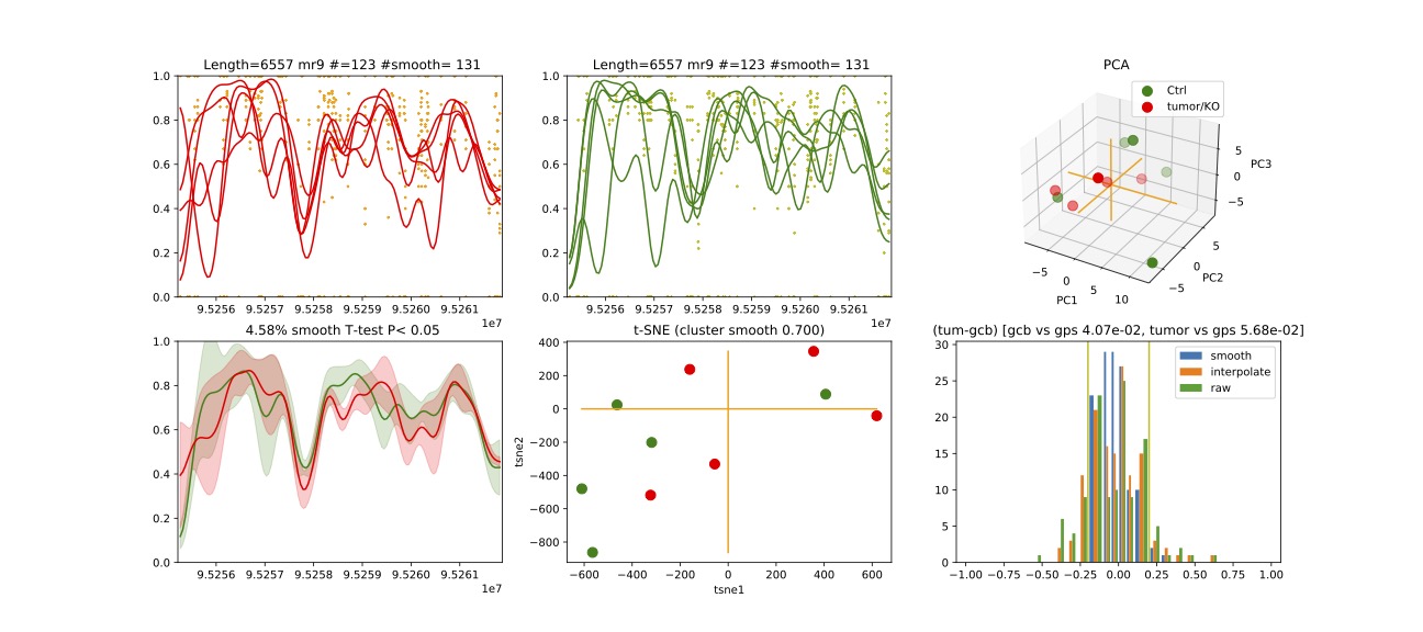 Chr 3 Methylation Region 9